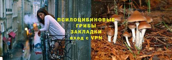 СК Балахна