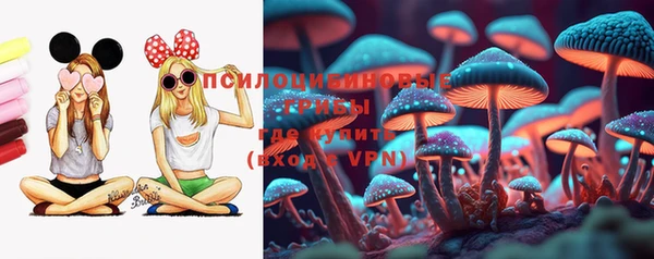 СК Балахна