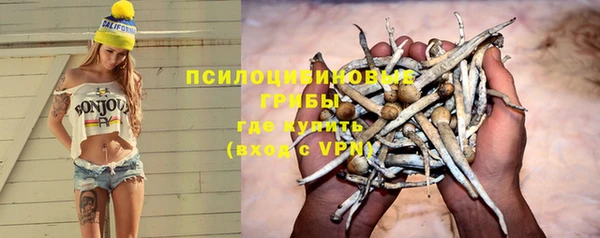 СК Балахна
